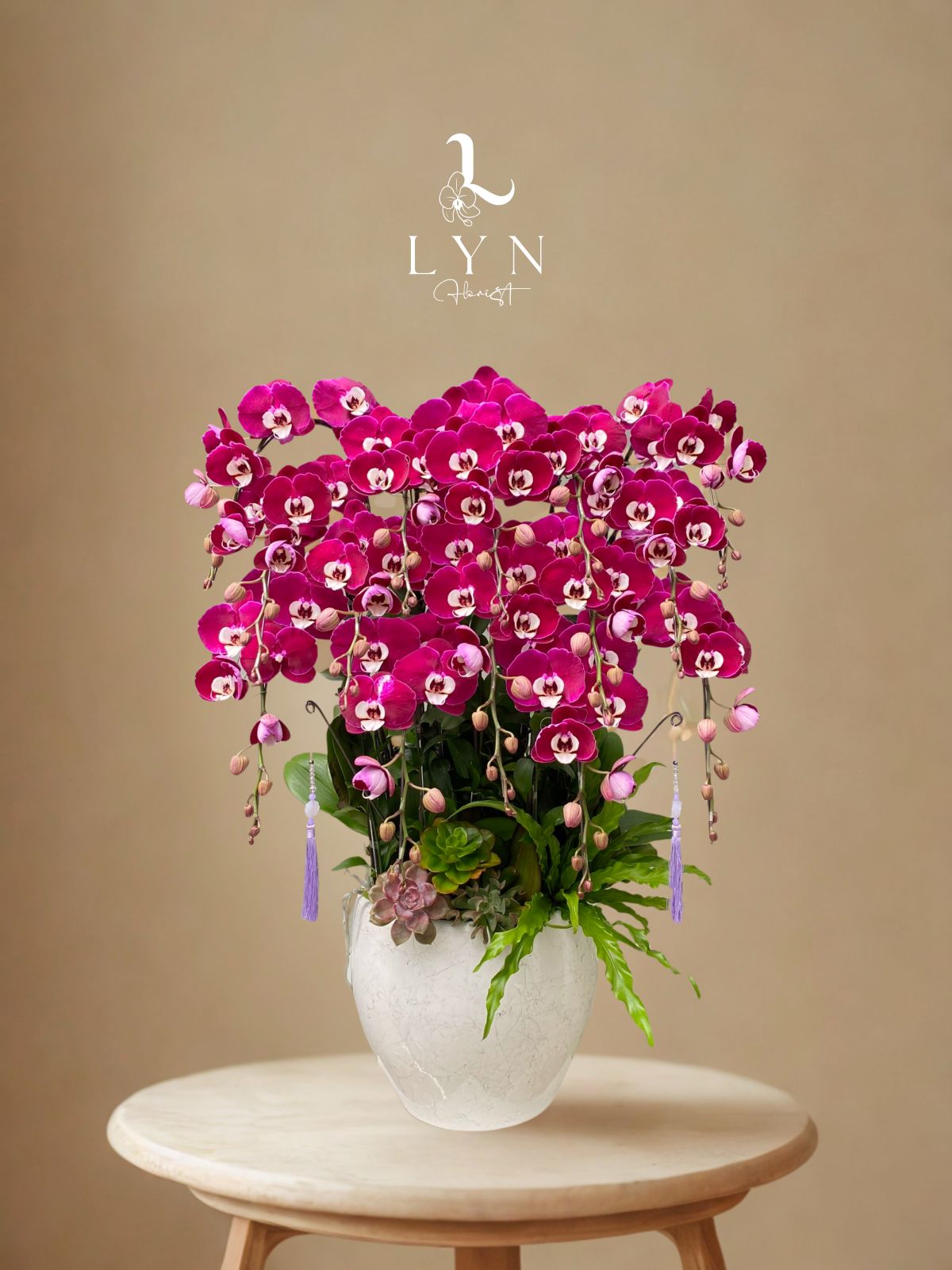 Chậu Hoa Lan Tím Michile